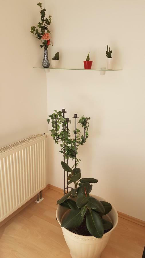 Evi's Regensburg